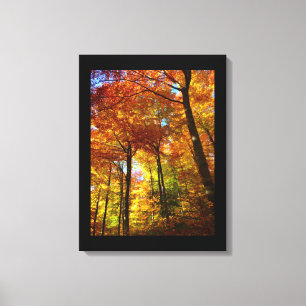 Canvas Art-Autumn Trees Print