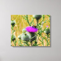 Canvas Art Bee on Thistle