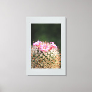 Canvas Art-Cactus