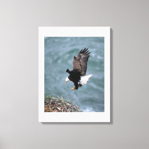 Canvas Art-Eagle Print