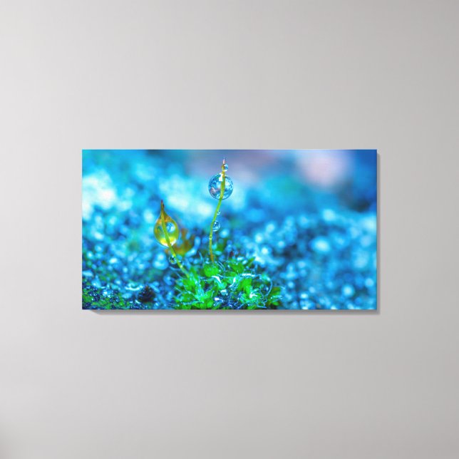 Canvas Art - Grass with Drops of Water (Front)