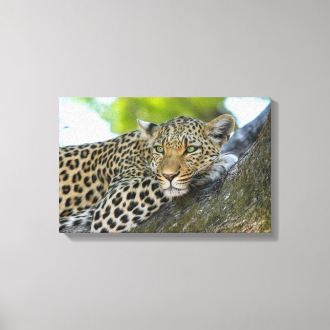 Canvas Art-Leopard (Front)