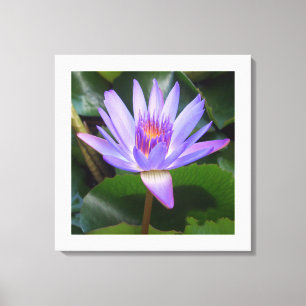 Canvas Art-Lotus Flower Print