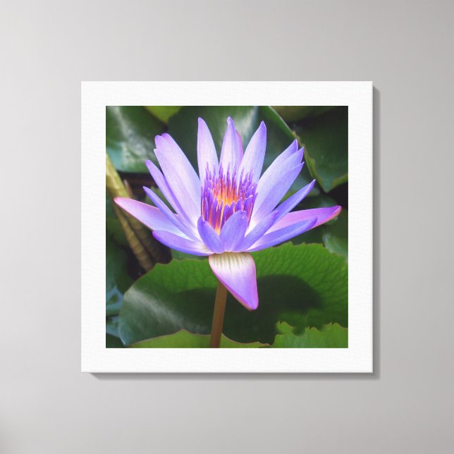 Canvas Art-Lotus Flower Print (Front)
