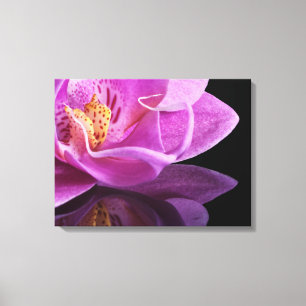 Canvas Art-Orchid
