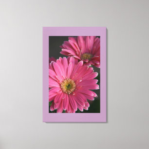 Canvas Art-Pink Daisies