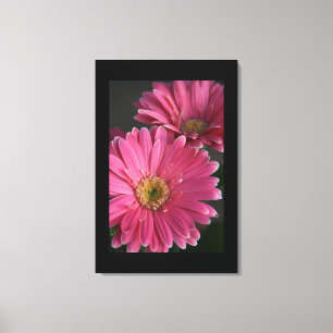 Canvas Art-Pink Daisies Print