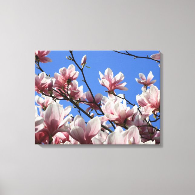 Canvas Art-Pink Magnolia Print (Front)