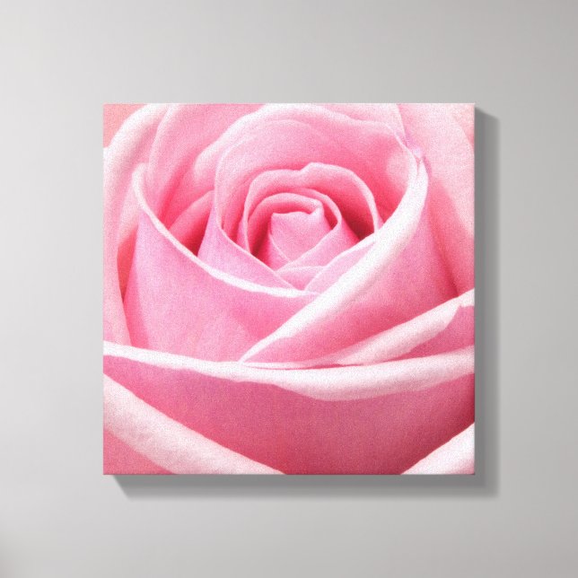 Canvas Art-Pink Rose Print (Front)