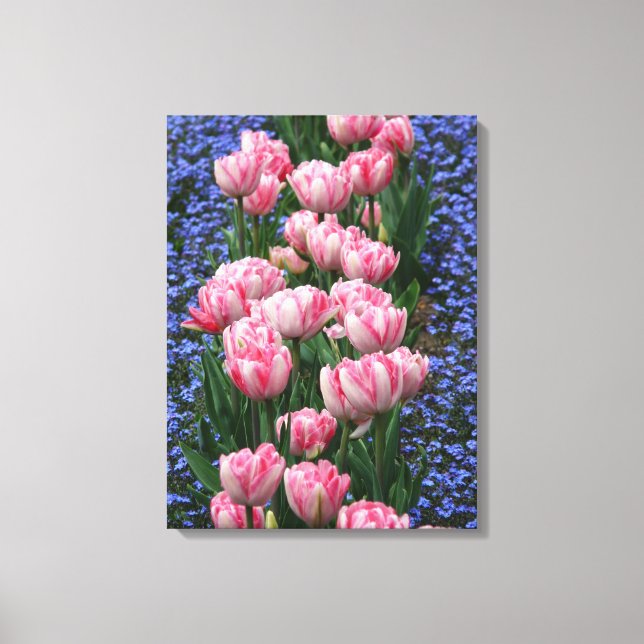 Canvas Art-Pink Tulips Print (Front)