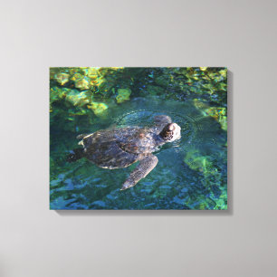 Canvas Art-Sea Turtle