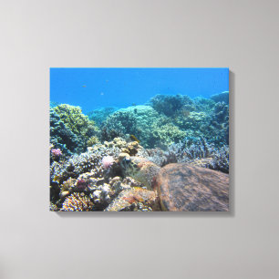 Canvas Art-Sea Turtle Print