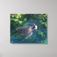 Canvas Art-Sea Turtle