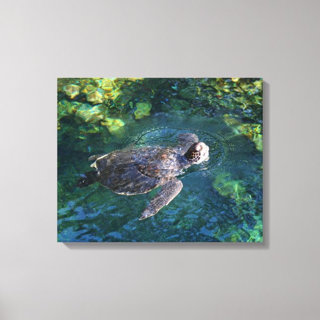 Canvas Art-Sea Turtle Print (Front)