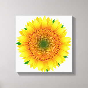 Canvas Art-Sunflower