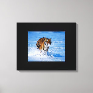 Canvas Art-Tiger