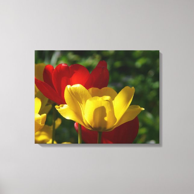 Canvas Art-Tulips Print (Front)