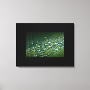 Canvas Art-Water Droplets Print