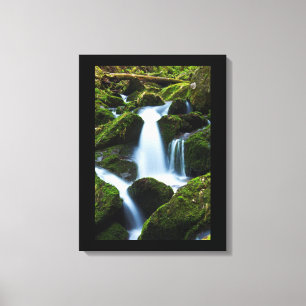 Canvas Art-Waterfall