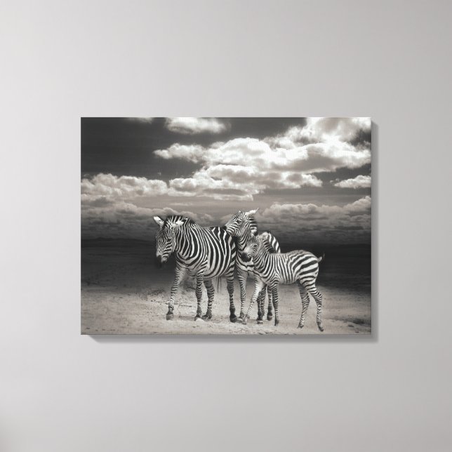Canvas Art-Zebras (Front)
