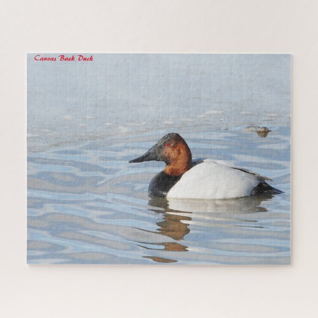 Canvas Back Duck Jigsaw Puzzle (Horizontal)