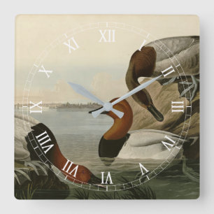 Canvas backed Duck from Audubon's Birds of America Square Wall Clock