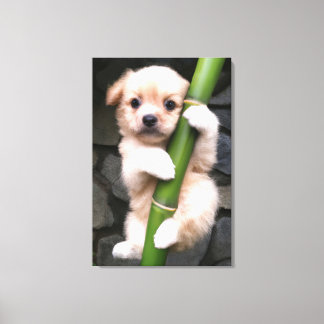 Canvas Cute Puppy Gaejook 개죽이  Print