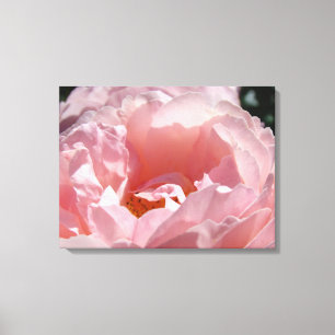 Canvas Decorative prints Pink Rose Holidays