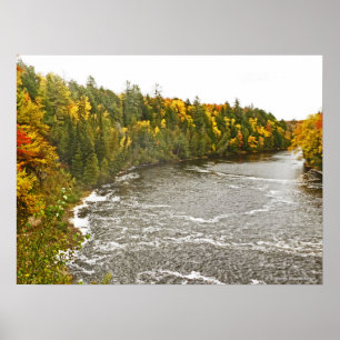 canvas gloss print/TAHQUAMENON RIVER/GOLD AND GREE Poster