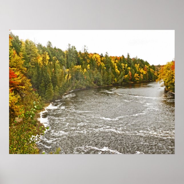 canvas gloss print/TAHQUAMENON RIVER/GOLD AND GREE Poster (Front)