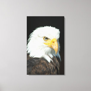 Canvas - Nature Bird Eagle Print