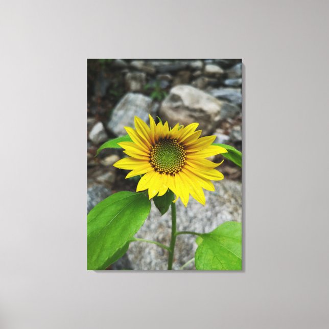 canvas print (Front)