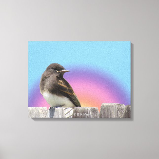 Canvas print - Bird on fence (Front)
