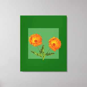 Canvas Print - Calendula