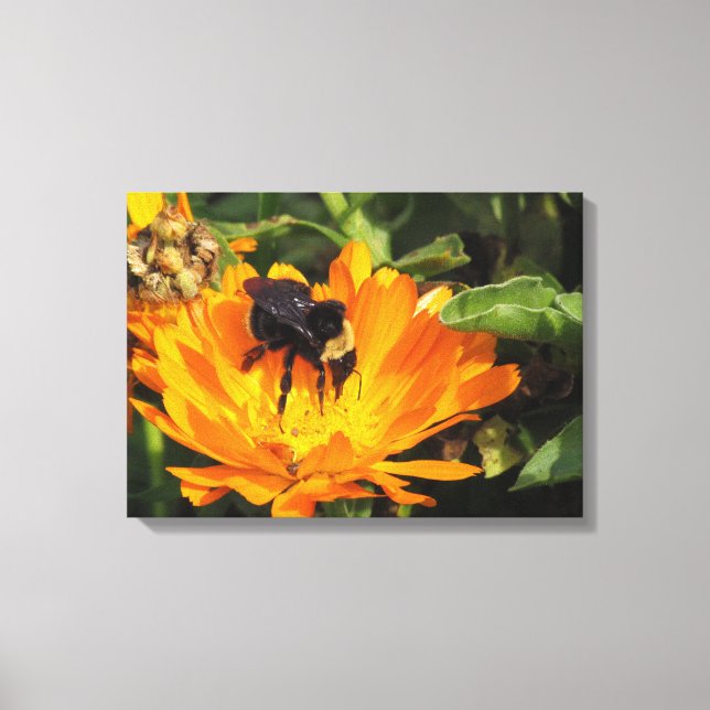 Canvas Print - Calendula and Bee (Front)