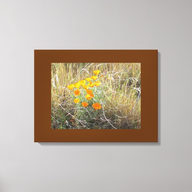 Canvas Print - California poppy (Front)