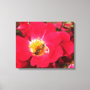 Canvas Print - Collecting Pollen