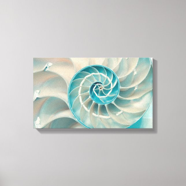 Canvas Print-Fibonacci Sequence in Nature Sea Life (Front)