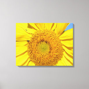 Canvas Print - Fly on Sunflower