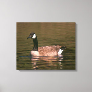 Canvas print - Goose