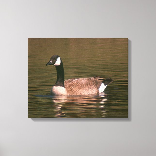 Canvas print - Goose (Front)