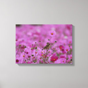 Canvas Print - Morning Glory