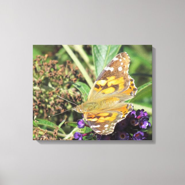 Canvas Print - Orange Butterfly (Front)