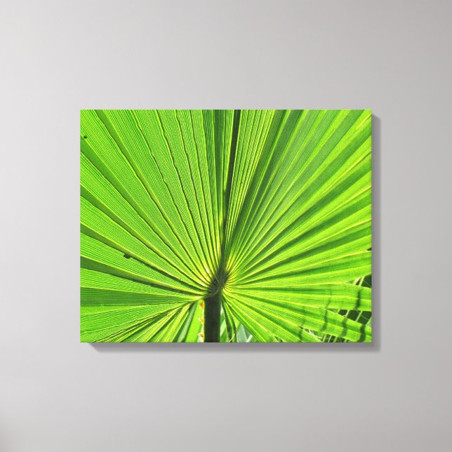 Canvas Print - Palm Frond (Front)