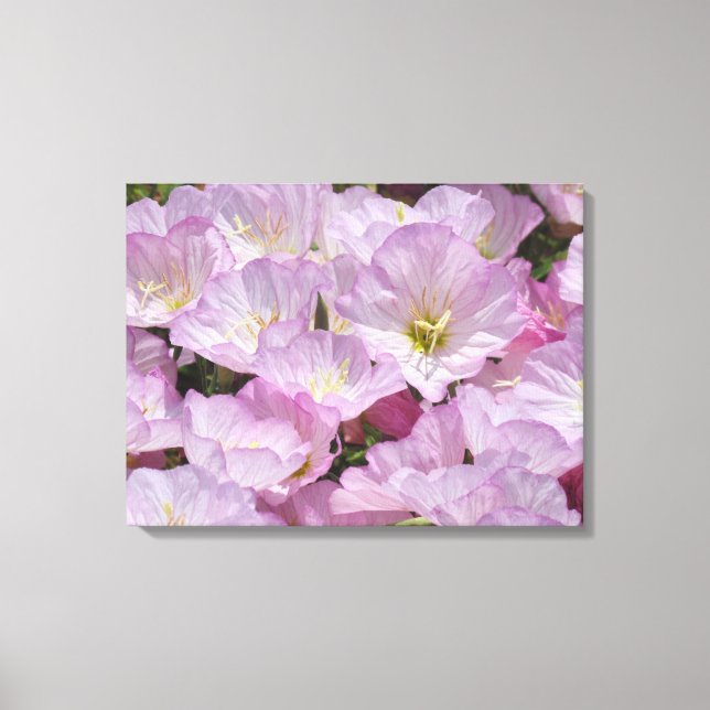 Canvas Print - Pink Flowers (Front)