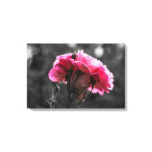 Canvas Print - Pink Rose Eleganace