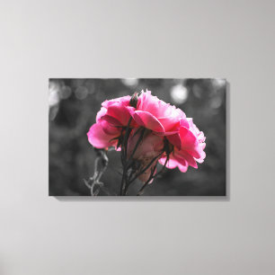 Canvas Print - Pink Rose Eleganace