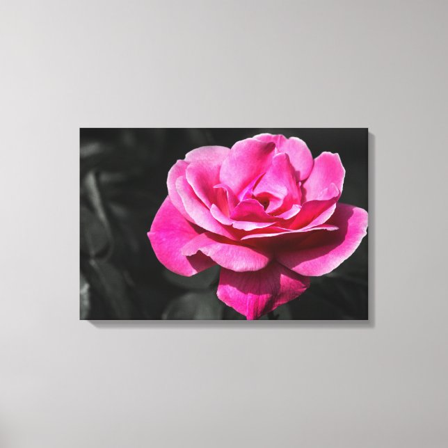 Canvas Print Pink Rose Eleganace (Front)