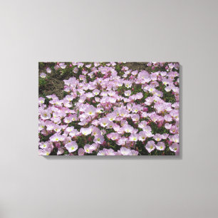 Canvas Print - Primrose Blossoms
