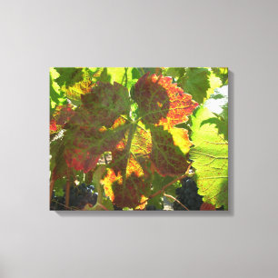 Canvas Print - Red Grape Leaf on Vine
